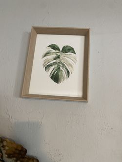 Monstera Drawing w/Frame