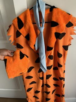 The Flintstones Costumes