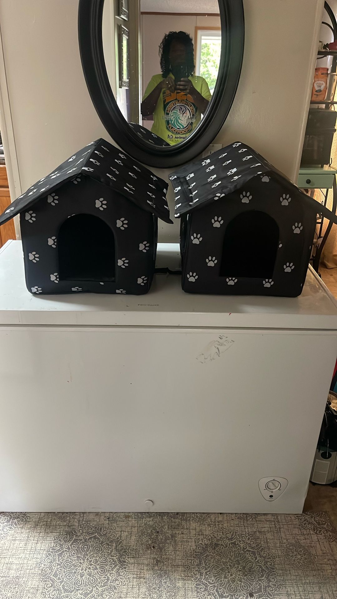 Cat House $20