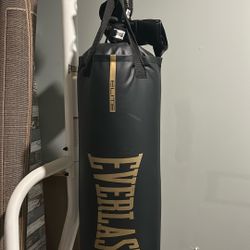 Punching Bag 