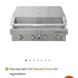 Stainless Steel BBQ
