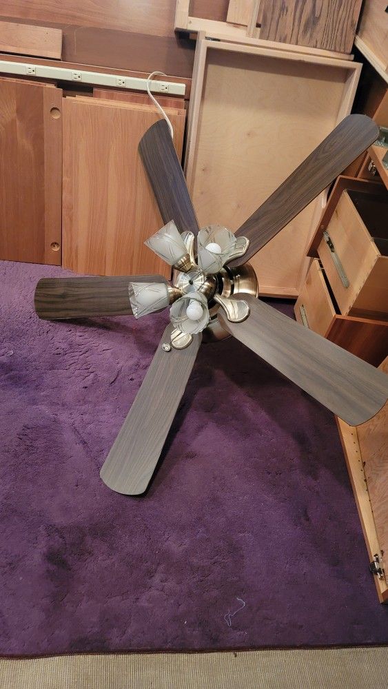 Celling Fan And Lights