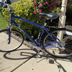 Diamondback Edgewood hybrid bike — 🚲