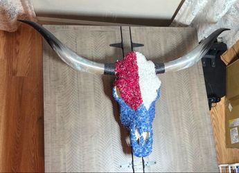 Buc-ee’s Decorative Cow Skull – Never Hung or Displayed