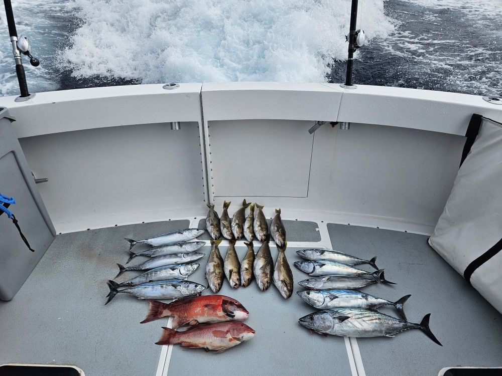 Saltwater Fishing. Deep Sea Fishing. Catalina. Fishing Trip