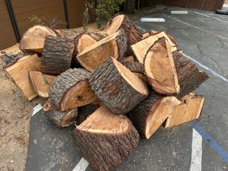 Fresh Cut Cedar Wood