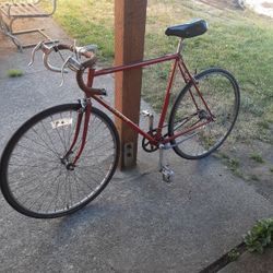 Scwinn Traveler (  1973 ) Single Gear