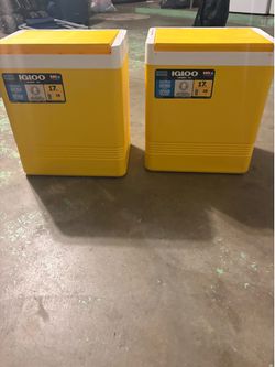 igloo legend ice coolers