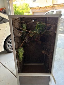 Reptile/gecko cage