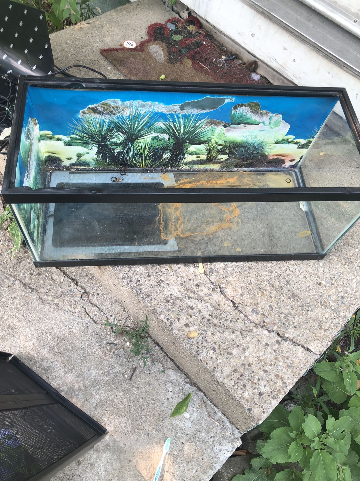 Tank for Lizard Or Snake Etc