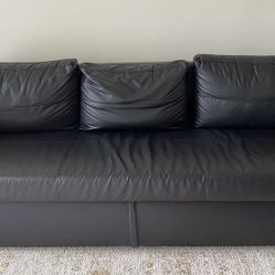 Sofa Couch 