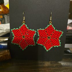 Aretes En Mostacilla 