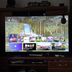 VIZIO SMART TV 