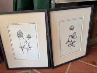 Hobby Lobby Set of 2 Botanical Clover Framed Art Prints