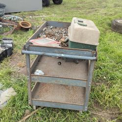 I'm Rolling Cart For Your Tools For 50 Bucks You Can Get You Heavy Duty