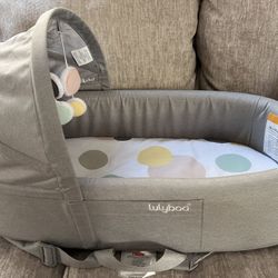 Baby Swing, Gym Mat,  & Lulyboo 