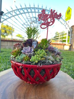 Mother’s Day Succulent arrangement