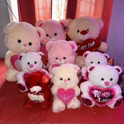 Valentine’s Day, Teddy Bear Gift Starting At $5