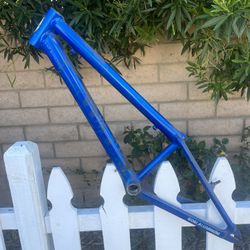 Alliant Jr BMX Frame 