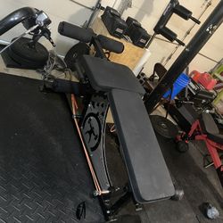 Elitefts Signature Leg Curl