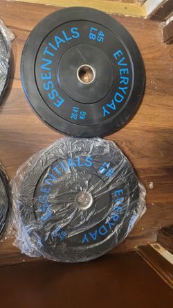 45 Lb Plates 