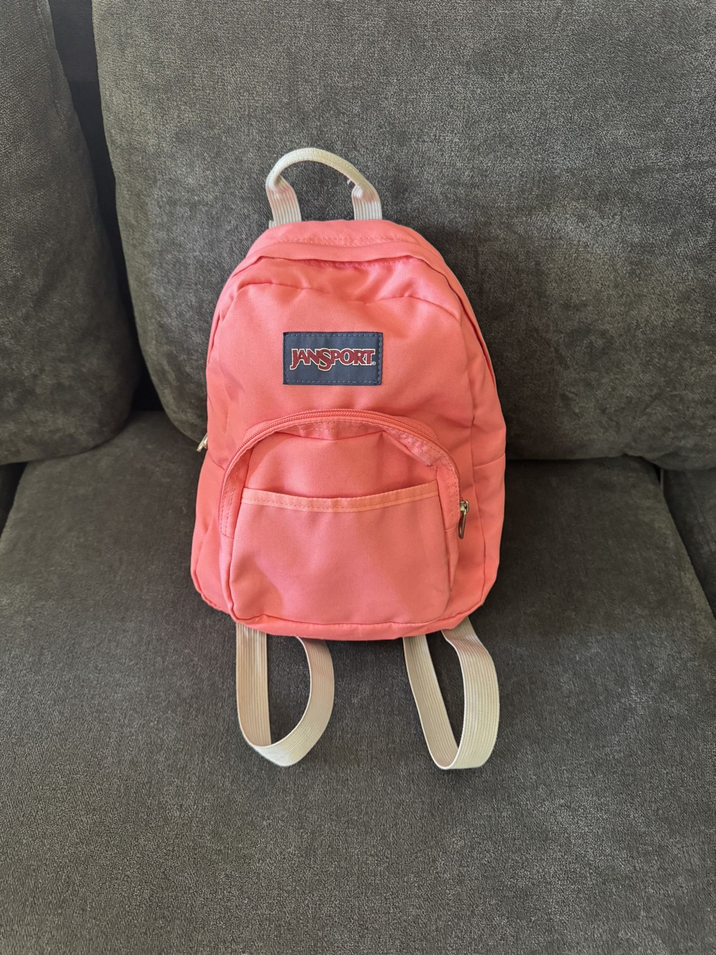 Jansport Pink Mini Back Pack Used
