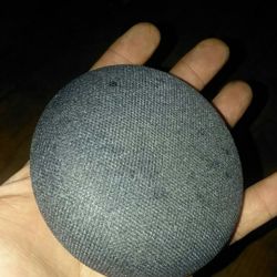 Google home