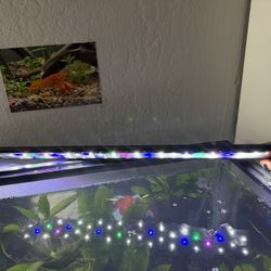 Bright aquarium light