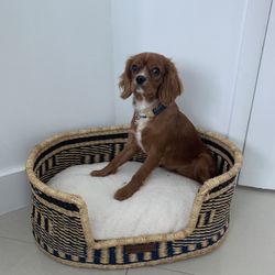 Handmade Dog Bed 
