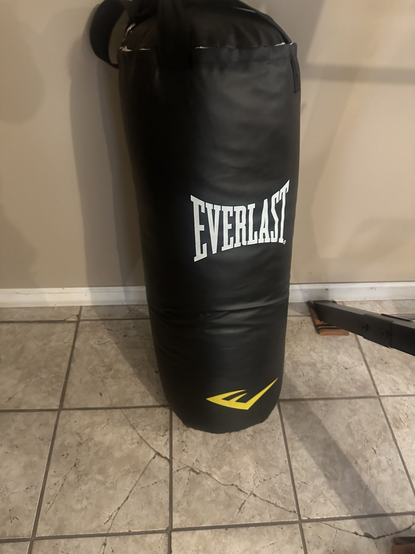 Everlast Punching Bag