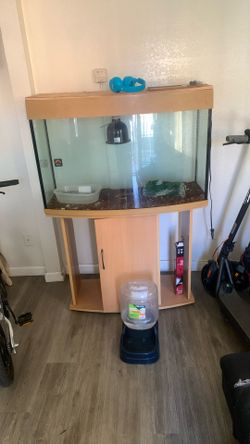 Fish Aquarium