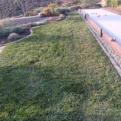 Landscaping 