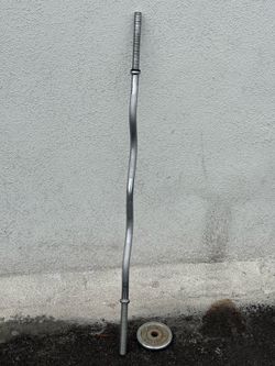Curl bar and one weight plate 47" long