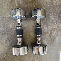 Hampton 8 lb Chrome Dumbbell Pair
