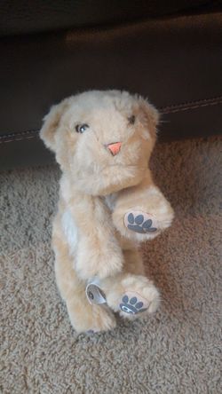 Baby alive animals