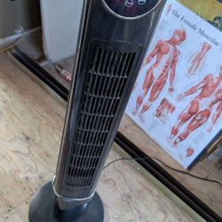 Working Tower Fan Black 