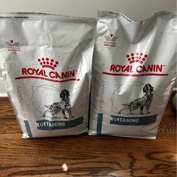 Dog Food 