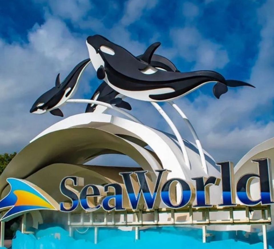Seaworld