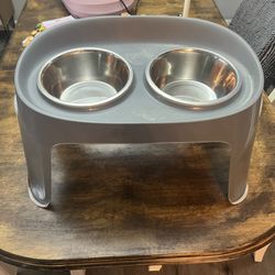 Dog Food  And Water Bowl