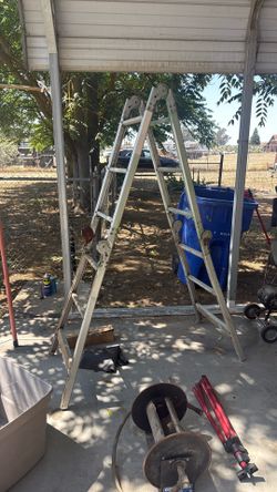Collapsible ladder