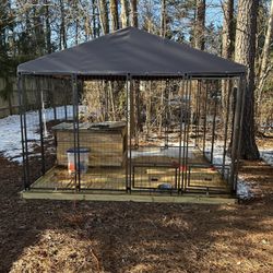 Pet Kennel 