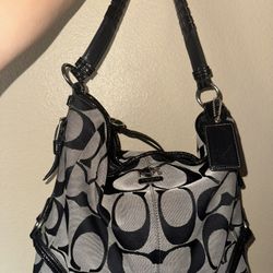 Large Coach Hobo Bag 