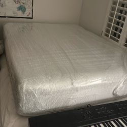 Medium Soft Mattress