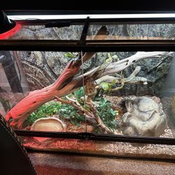 Exo Terra Front Opening Snake Tank