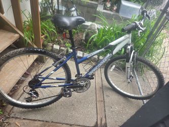 Mongoose pro mountain bike
