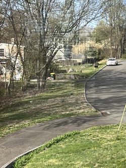 Large Trees and boulders