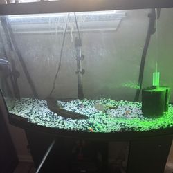 Fish Tank 55 gallons