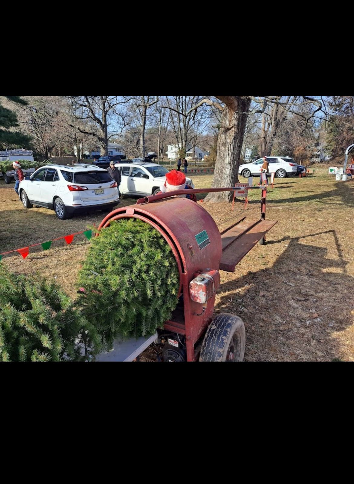 Christmas Tree Delivery