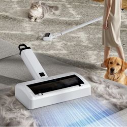 Pet Hair Removal (brand New)