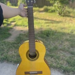 Lc 100 Guitar